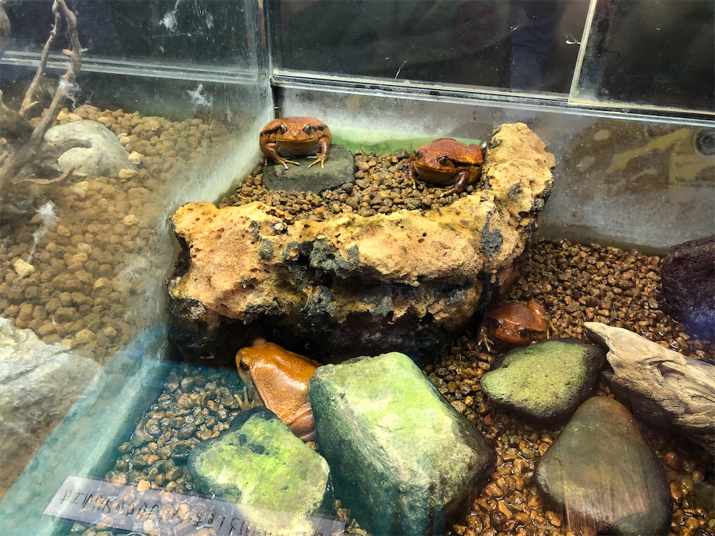 f:id:Shinjuku_3chome:20221027161945j:image f:id:Shinjuku_3chome:20221027161945j:image