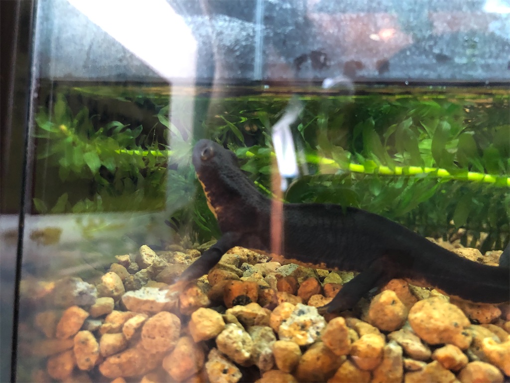 f:id:Shinjuku_3chome:20221027164124j:image f:id:Shinjuku_3chome:20221027164124j:image