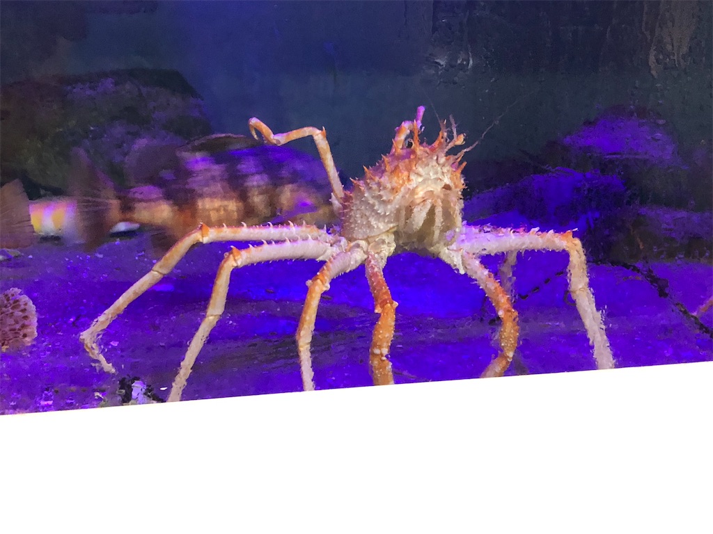 f:id:Shinjuku_3chome:20221027173044j:image f:id:Shinjuku_3chome:20221027173044j:image