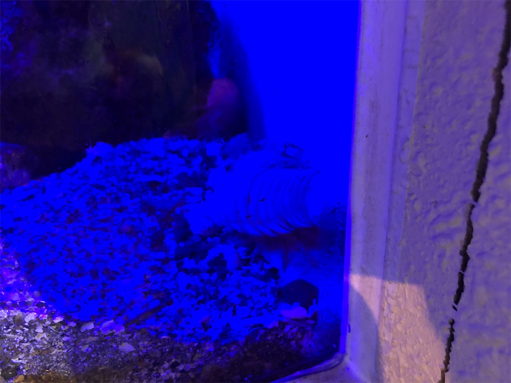 f:id:Shinjuku_3chome:20221027174138j:image f:id:Shinjuku_3chome:20221027174138j:image