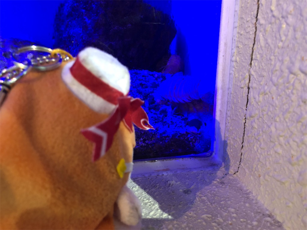 f:id:Shinjuku_3chome:20221027174553j:image f:id:Shinjuku_3chome:20221027174553j:image