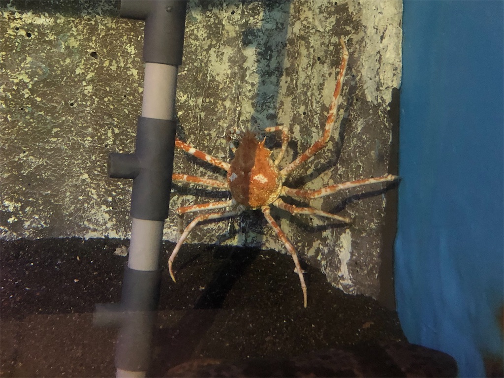 f:id:Shinjuku_3chome:20221027180413j:image f:id:Shinjuku_3chome:20221027180413j:image