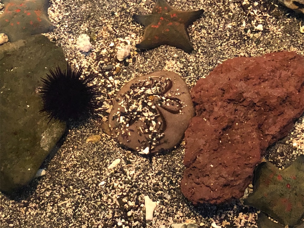 f:id:Shinjuku_3chome:20221027180626j:image f:id:Shinjuku_3chome:20221027180626j:image