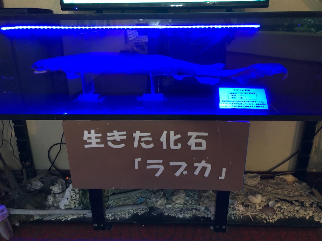 f:id:Shinjuku_3chome:20221028014329j:image f:id:Shinjuku_3chome:20221028014329j:image