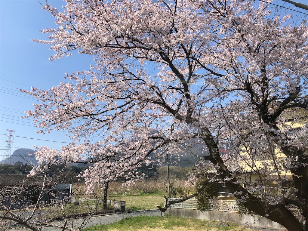 f:id:Shinjuku_3chome:20230408202440j:image