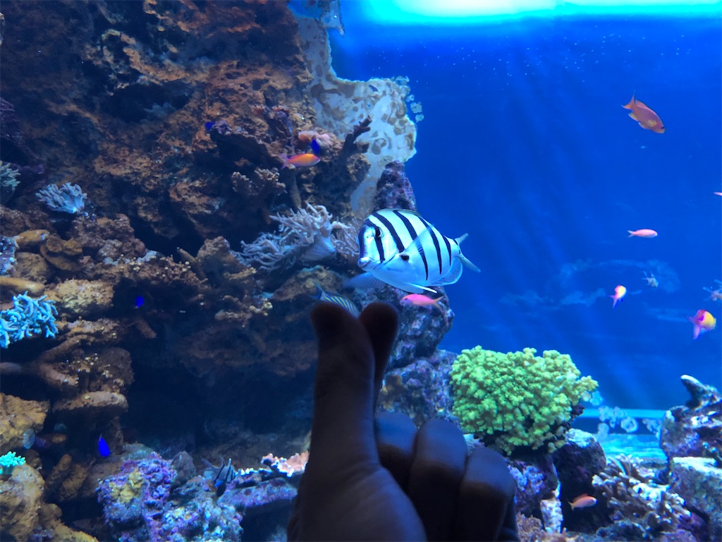 f:id:Shinjuku_3chome:20230424162858j:image f:id:Shinjuku_3chome:20230424162858j:image