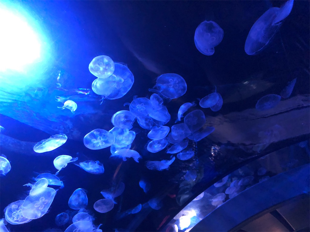 f:id:Shinjuku_3chome:20230425181417j:image f:id:Shinjuku_3chome:20230425181417j:image