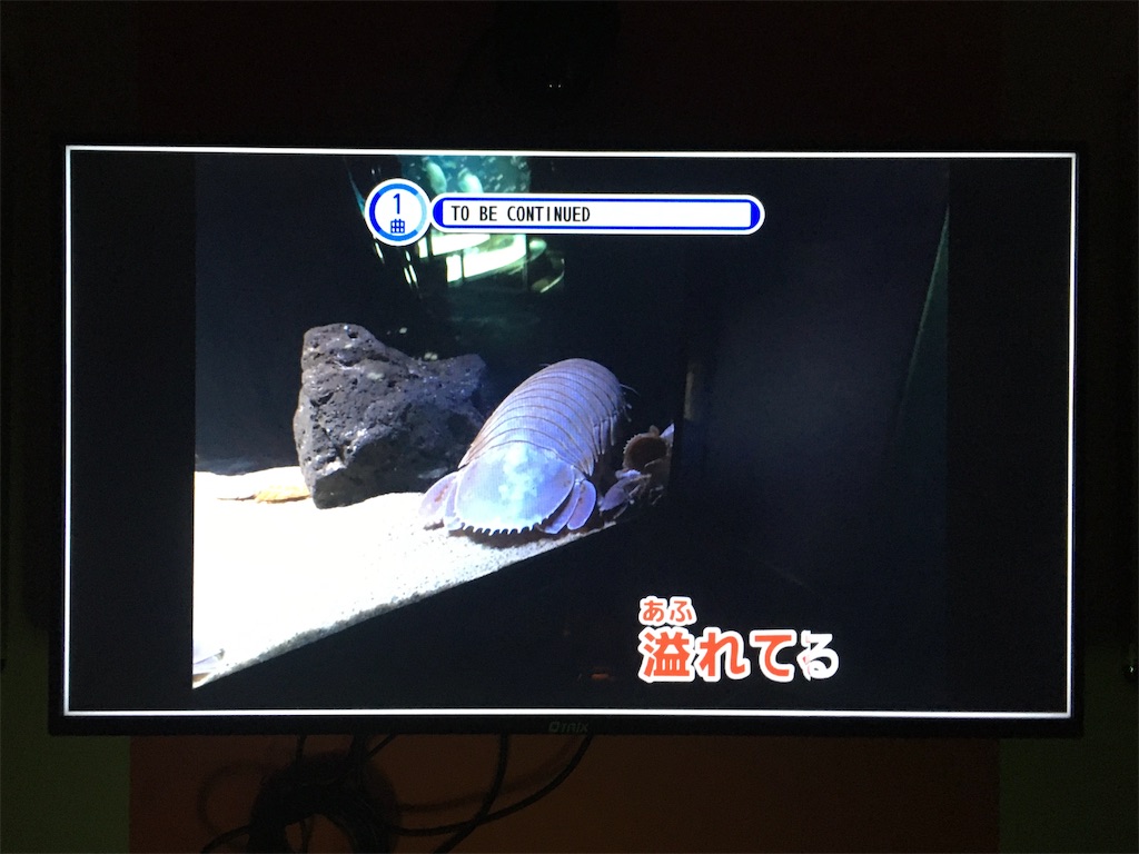 f:id:Shinjuku_3chome:20230508145235j:image f:id:Shinjuku_3chome:20230508145235j:image