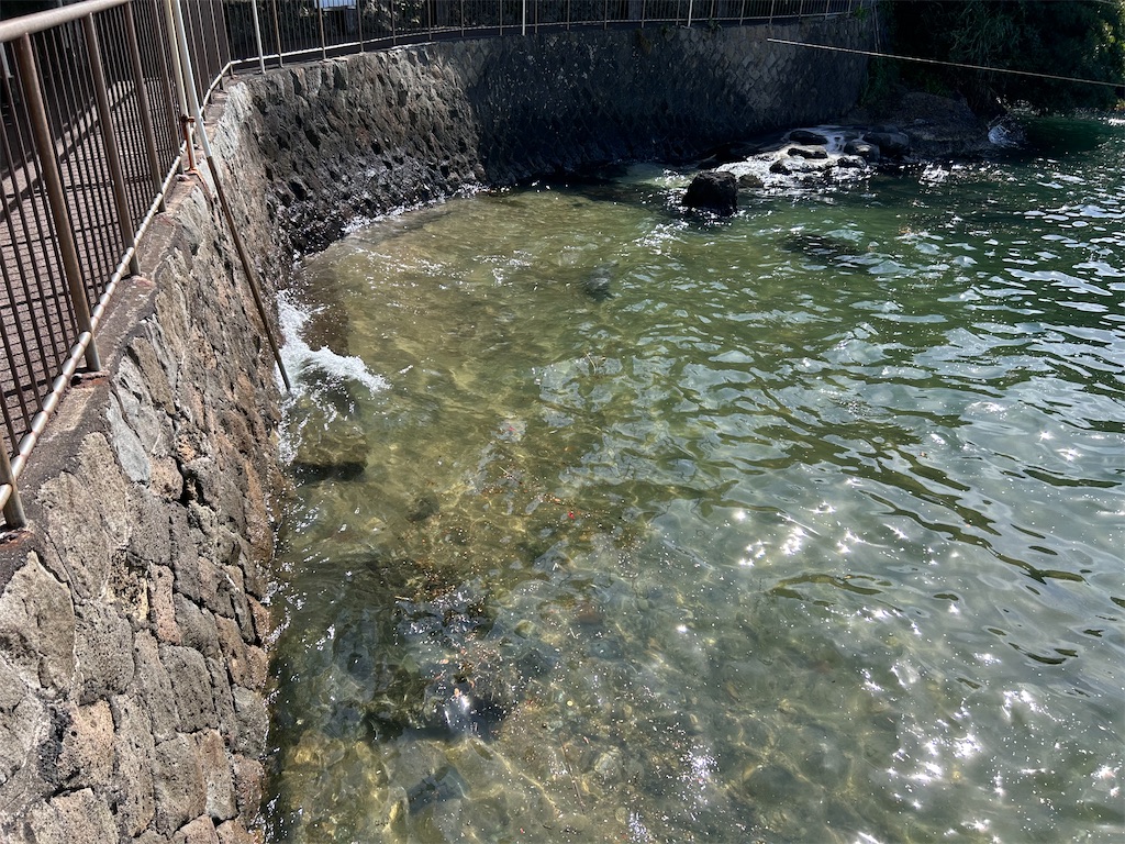 f:id:Shinjuku_3chome:20230808093957j:image