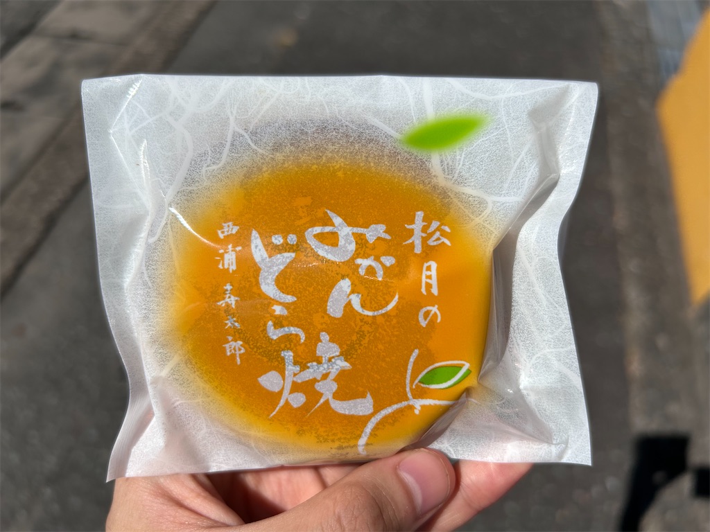 f:id:Shinjuku_3chome:20230812152305j:image