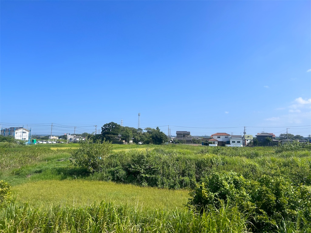 f:id:Shinjuku_3chome:20230831072733j:image