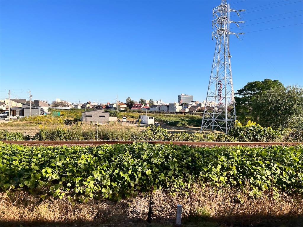 f:id:Shinjuku_3chome:20231029155257j:image