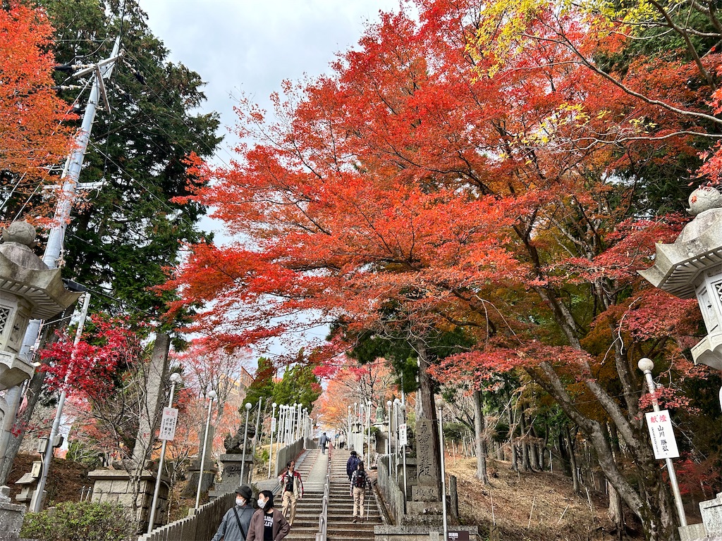 f:id:Shinjuku_3chome:20240101113536j:image