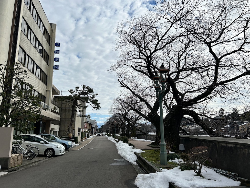 f:id:Shinjuku_3chome:20240214082418j:image