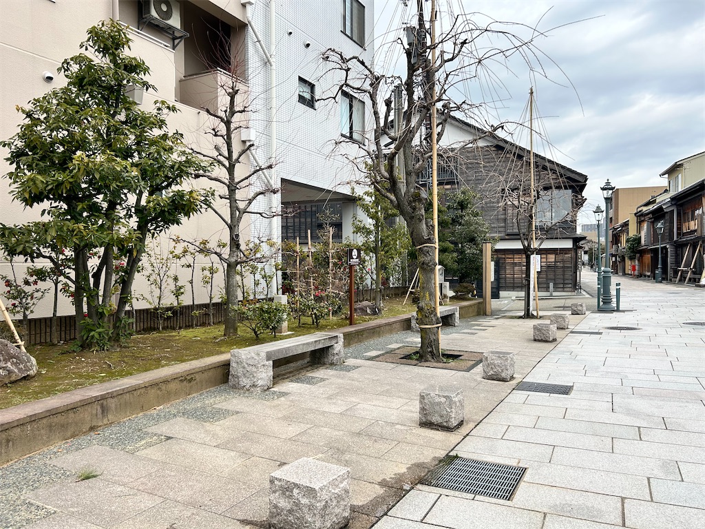 f:id:Shinjuku_3chome:20240215123031j:image