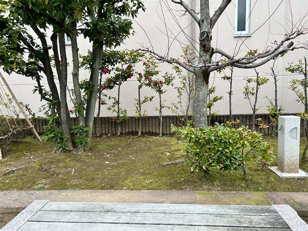 f:id:Shinjuku_3chome:20240215194539j:image