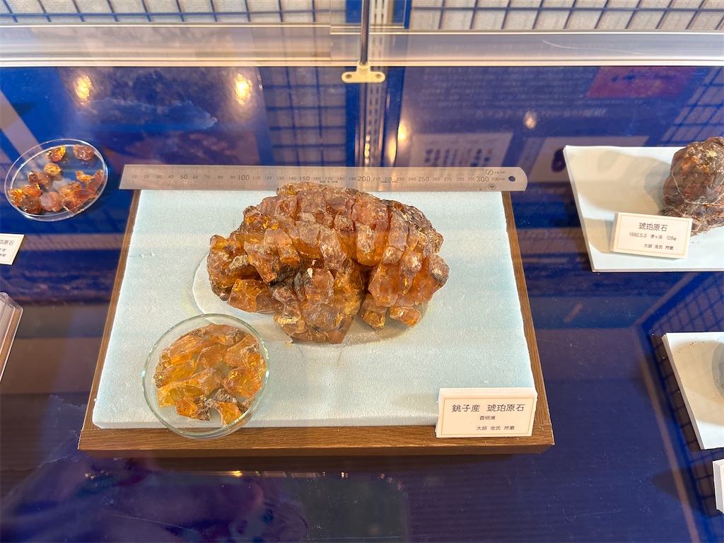 f:id:Shinjuku_3chome:20240218170359j:image