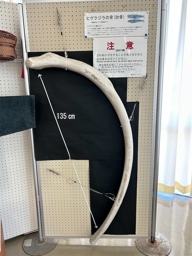 f:id:Shinjuku_3chome:20240219012035j:image