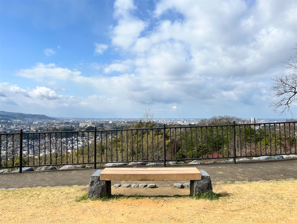 f:id:Shinjuku_3chome:20240326210508j:image