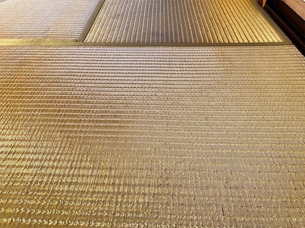 f:id:Shinjuku_3chome:20240326221735j:image