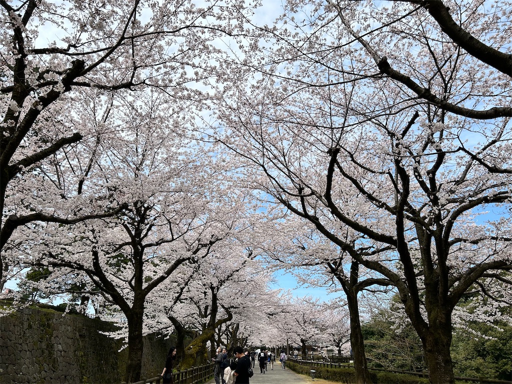 f:id:Shinjuku_3chome:20240410160941j:image