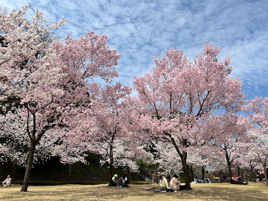 f:id:Shinjuku_3chome:20240410162101j:image
