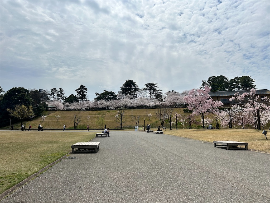 f:id:Shinjuku_3chome:20240410162317j:image