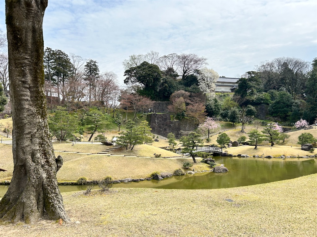 f:id:Shinjuku_3chome:20240411160633j:image