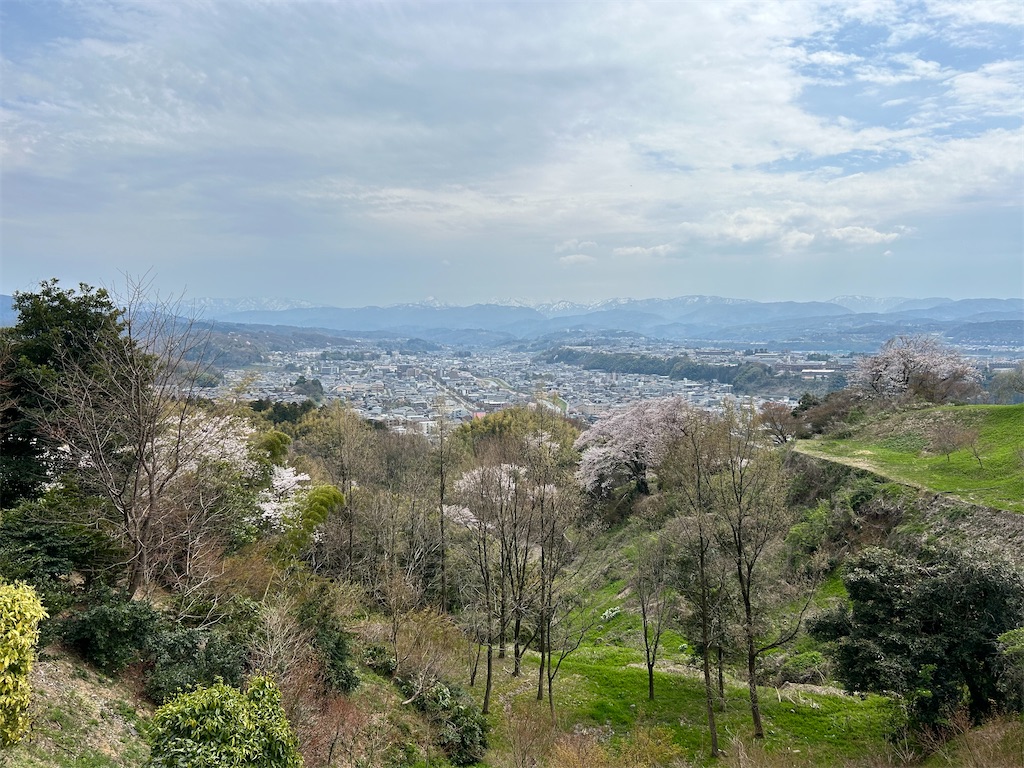 f:id:Shinjuku_3chome:20240413073523j:image