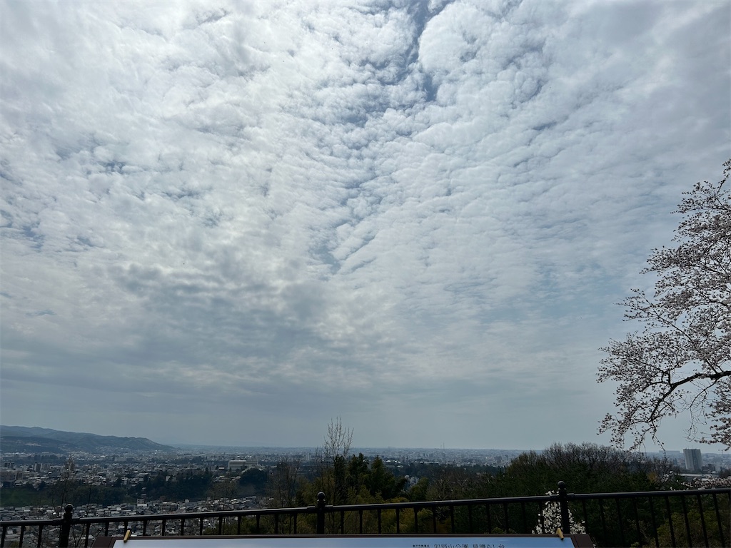 f:id:Shinjuku_3chome:20240413073941j:image