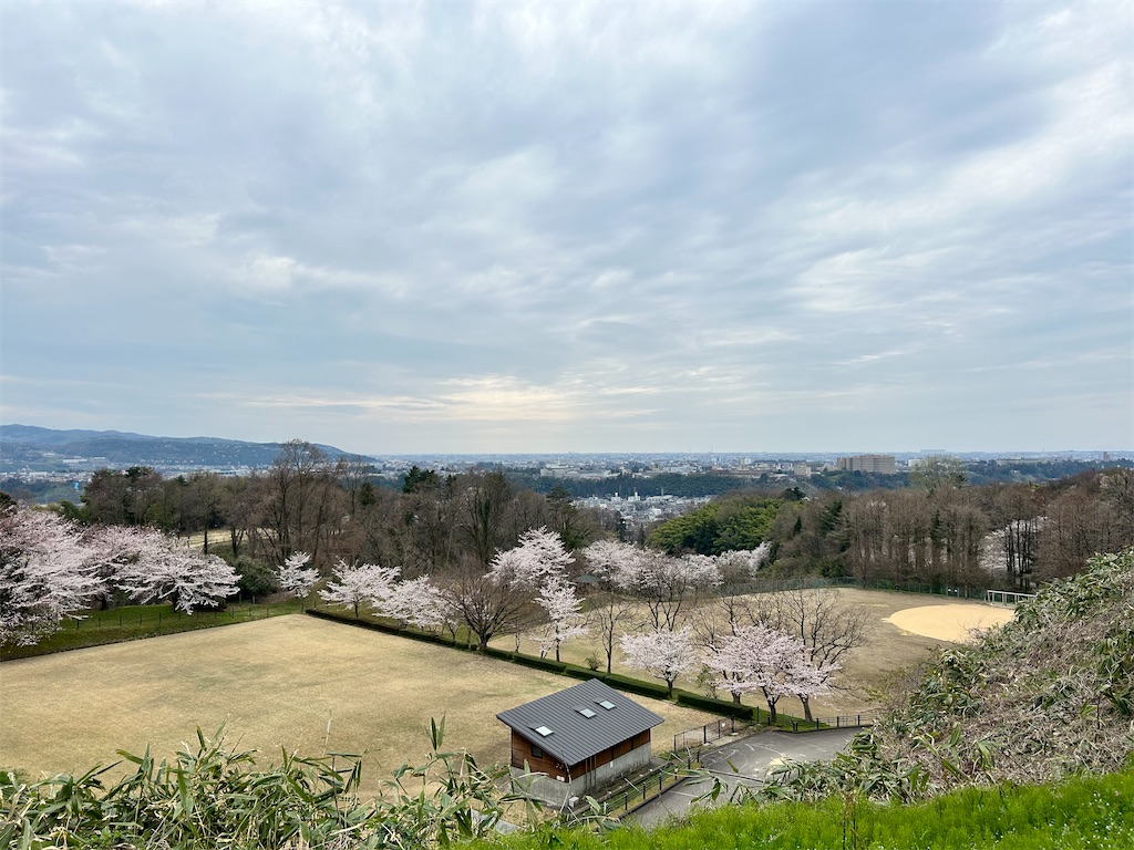 f:id:Shinjuku_3chome:20240413213325j:image