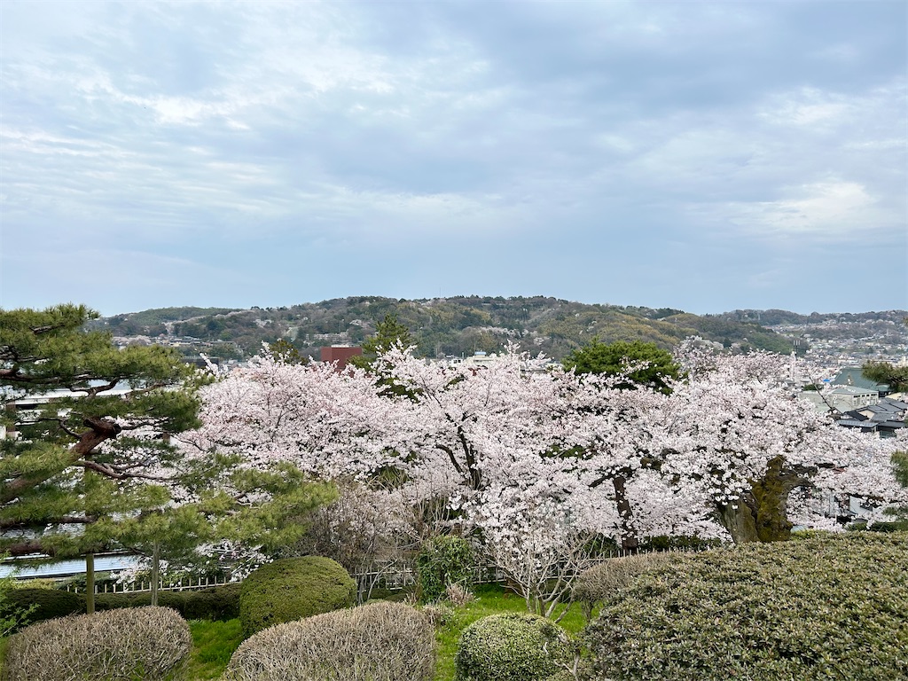 f:id:Shinjuku_3chome:20240413215740j:image