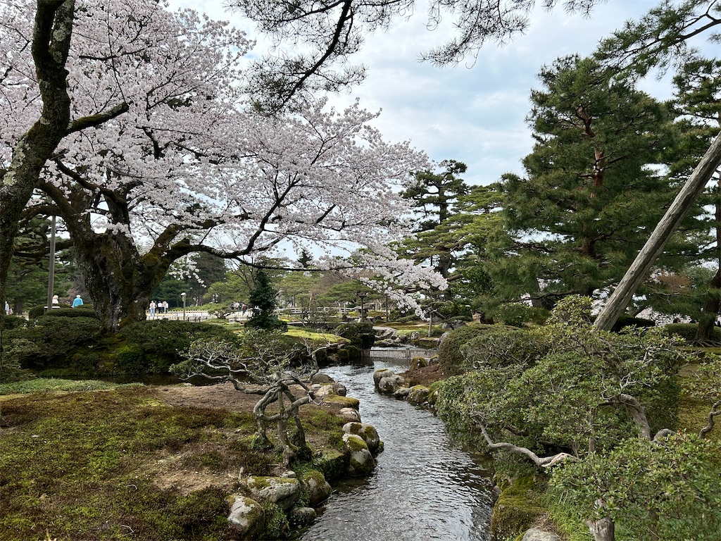 f:id:Shinjuku_3chome:20240413220932j:image