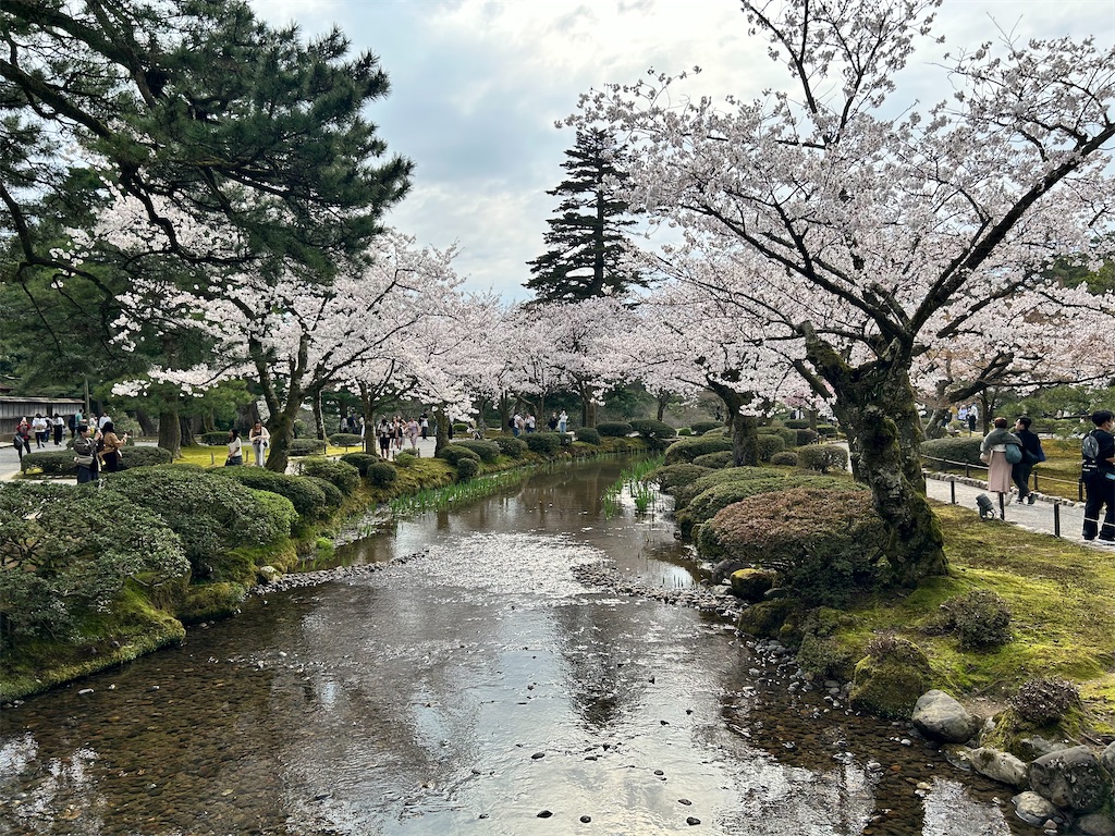 f:id:Shinjuku_3chome:20240413221820j:image