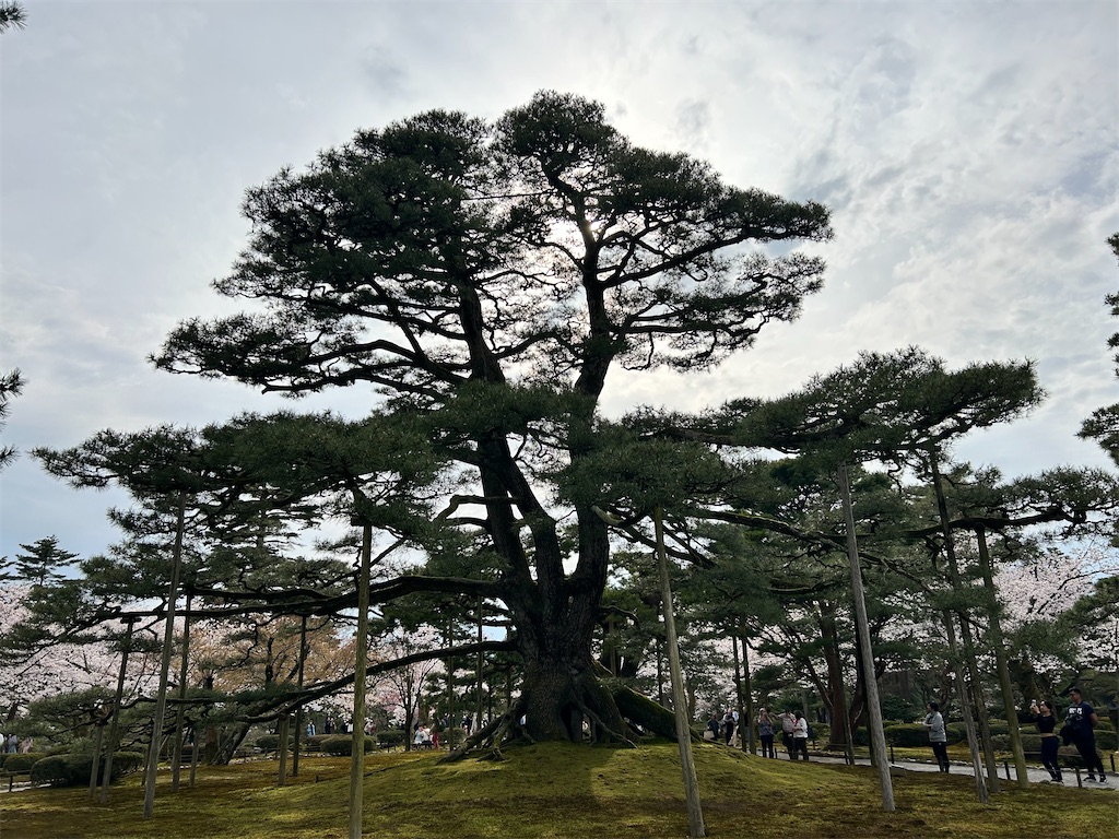 f:id:Shinjuku_3chome:20240413222420j:image