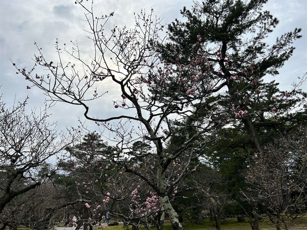 f:id:Shinjuku_3chome:20240413223433j:image