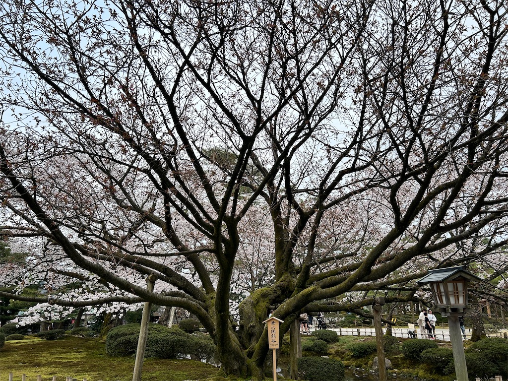 f:id:Shinjuku_3chome:20240413224106j:image