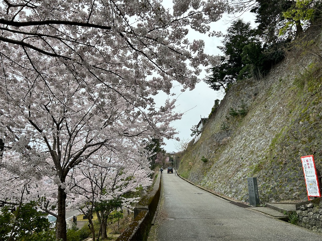f:id:Shinjuku_3chome:20240414145219j:image