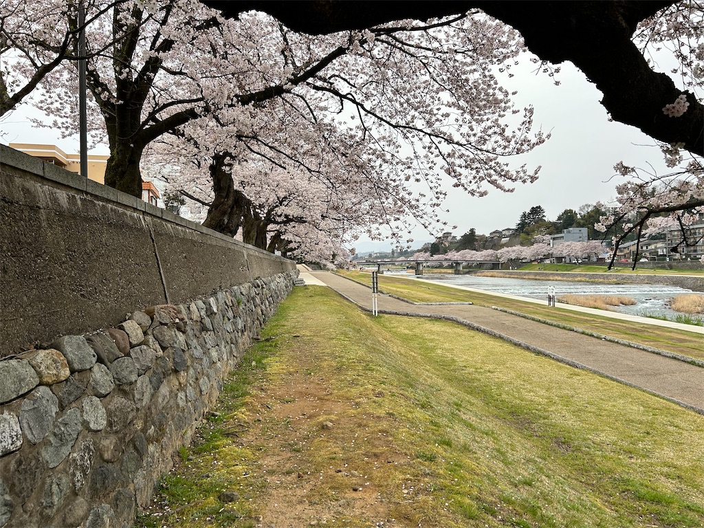 f:id:Shinjuku_3chome:20240414150217j:image