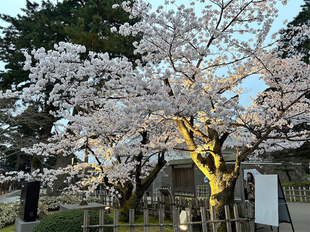f:id:Shinjuku_3chome:20240414153339j:image