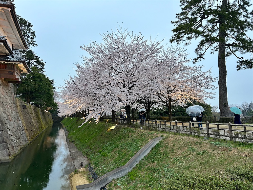 f:id:Shinjuku_3chome:20240414153735j:image