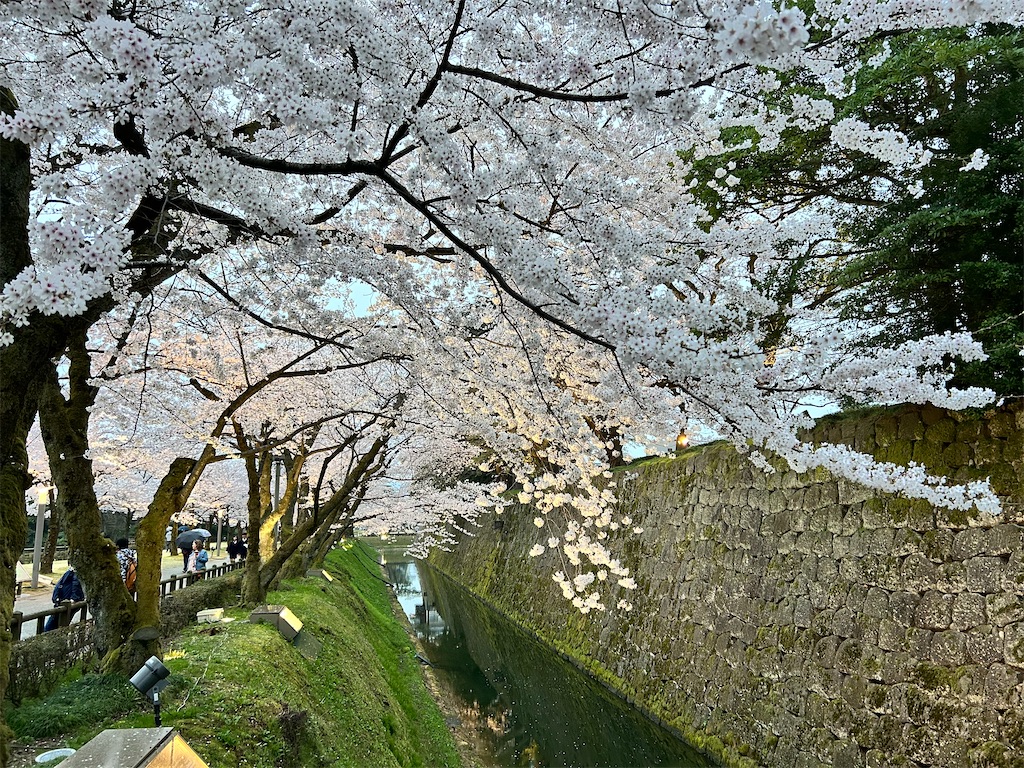 f:id:Shinjuku_3chome:20240414153929j:image