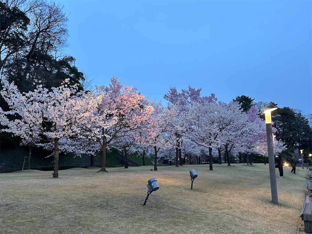 f:id:Shinjuku_3chome:20240414154733j:image
