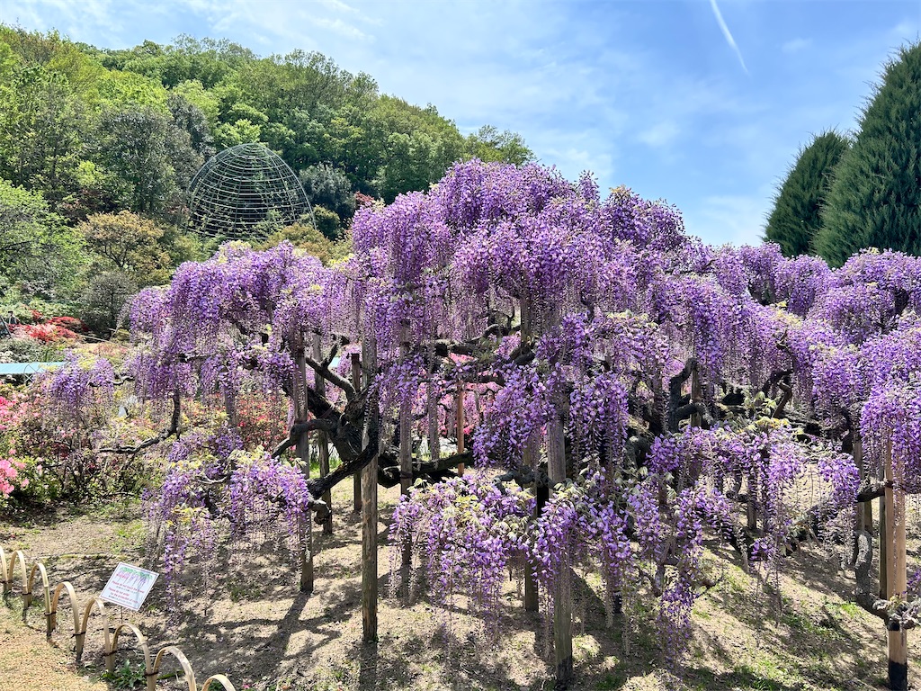 f:id:Shinjuku_3chome:20240424173535j:image