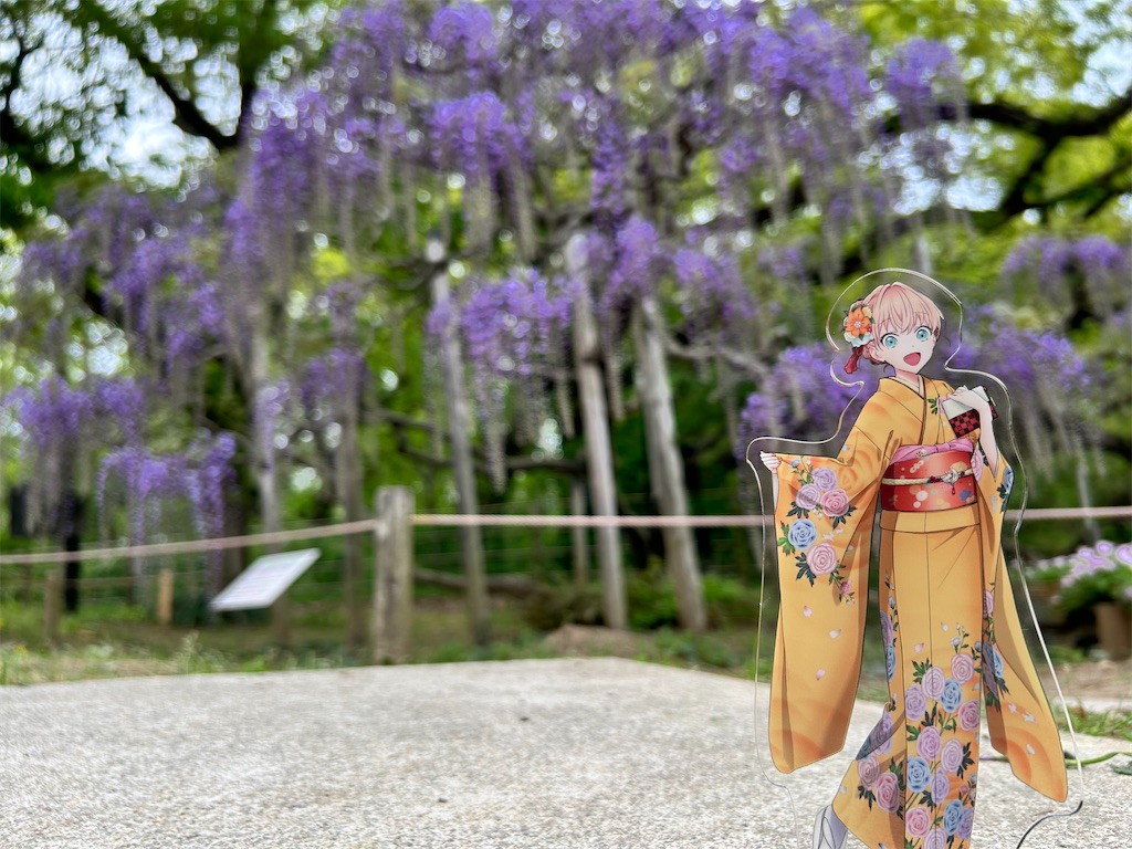 f:id:Shinjuku_3chome:20240425151609j:image