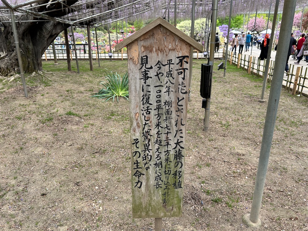 f:id:Shinjuku_3chome:20240425152433j:image