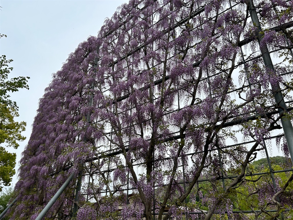 f:id:Shinjuku_3chome:20240425153428j:image