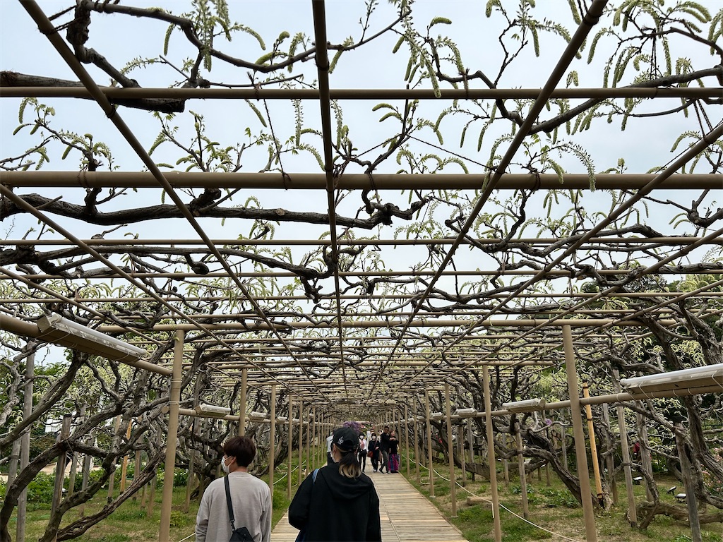 f:id:Shinjuku_3chome:20240425195433j:image