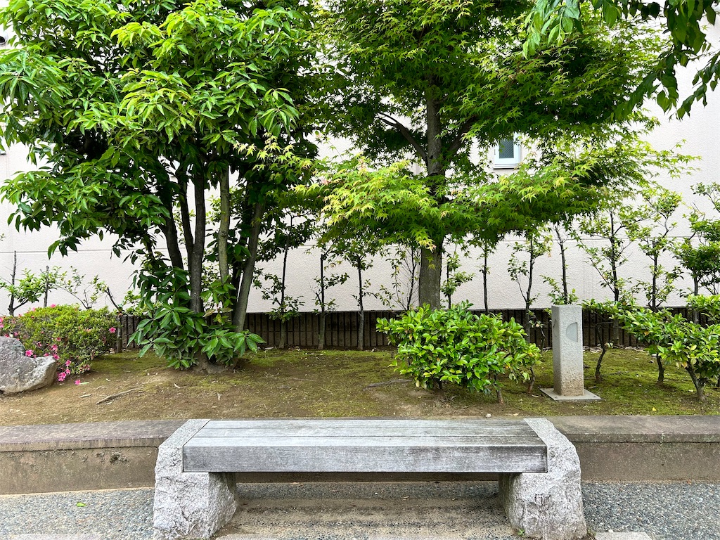 f:id:Shinjuku_3chome:20240601210203j:image
