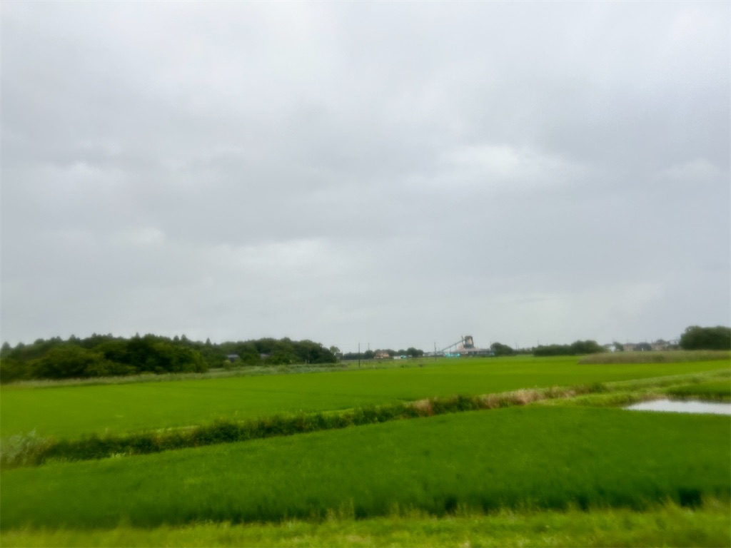 f:id:Shinjuku_3chome:20240708044812j:image